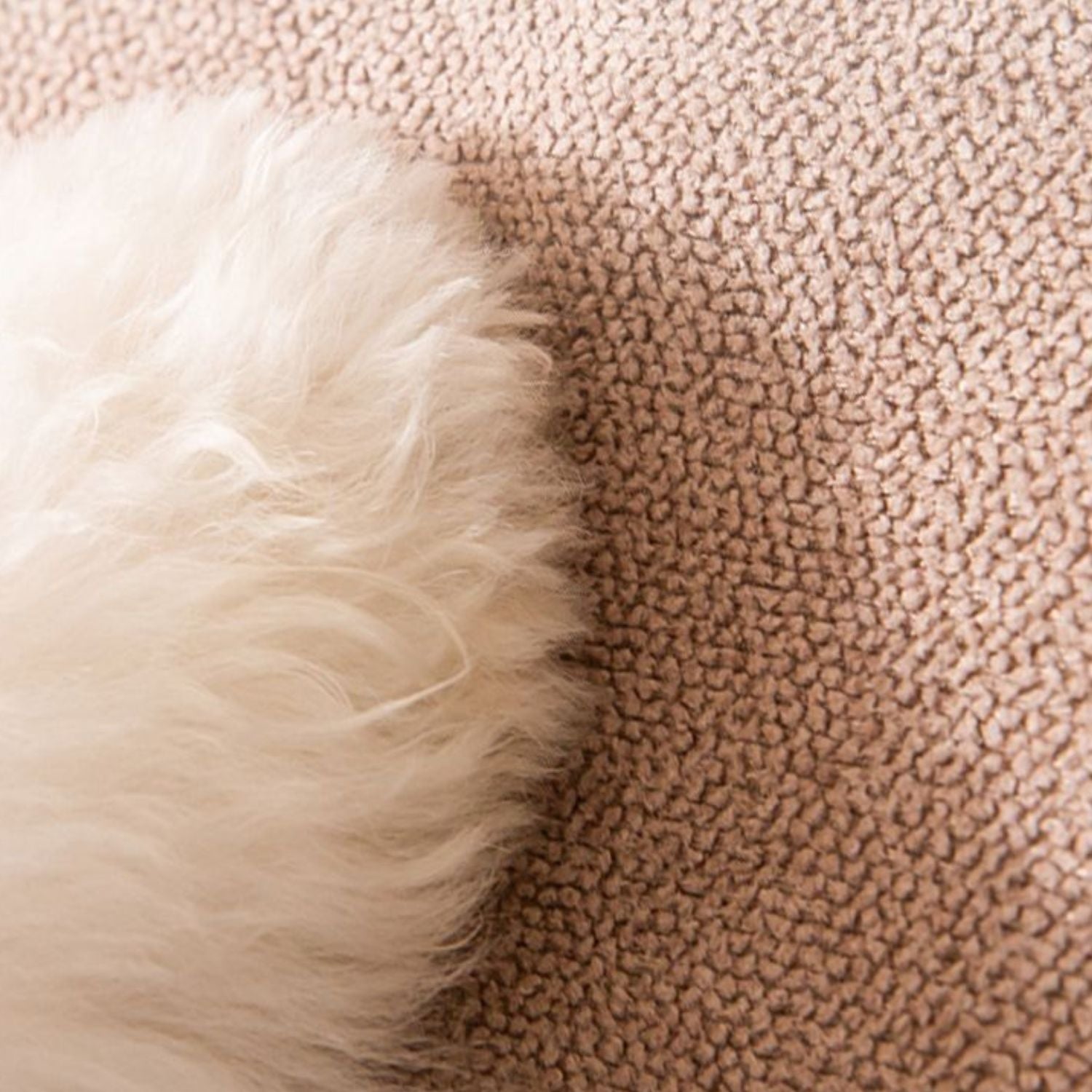 zachte honden trap witte vacht tegen kussentextuur